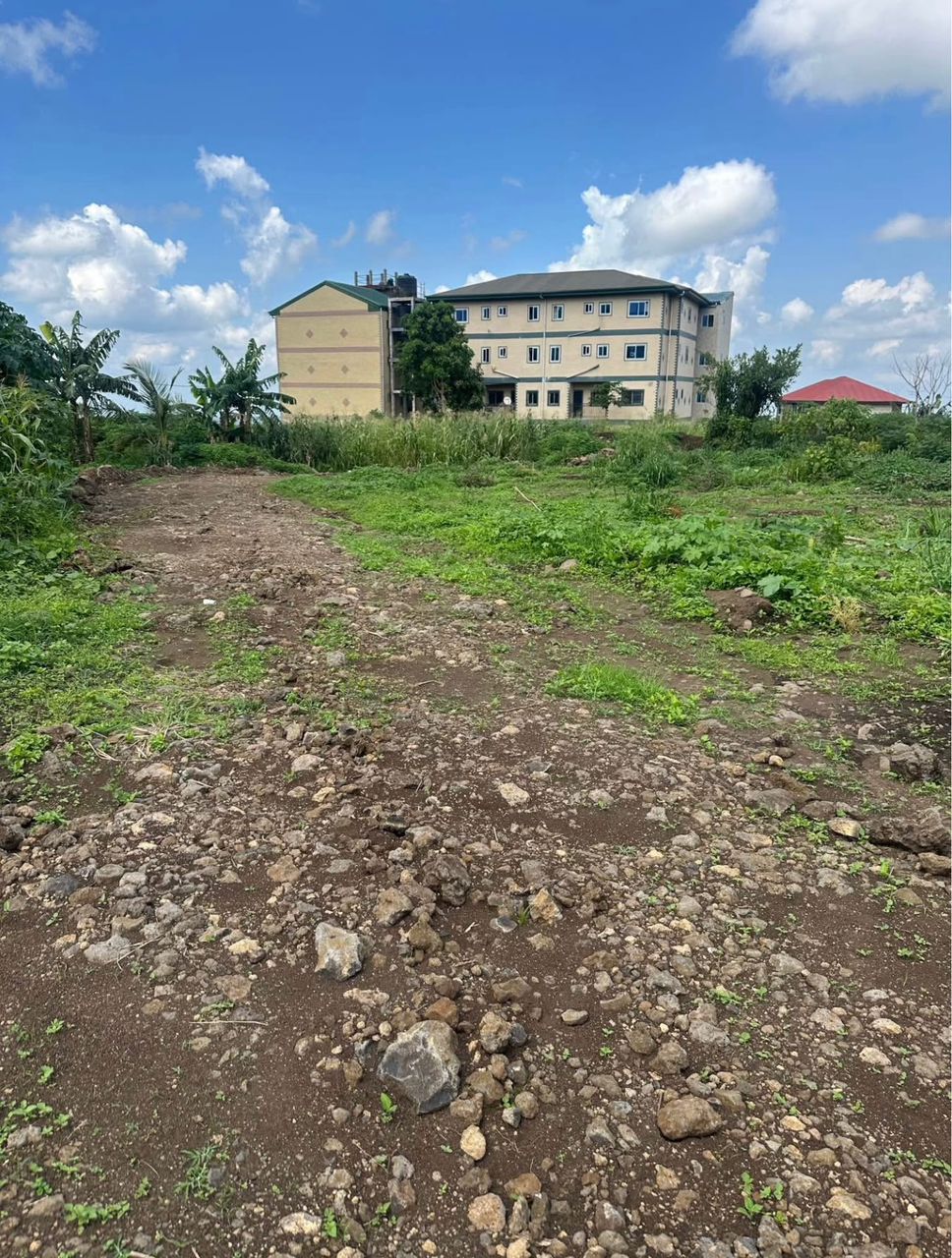 Developed Land