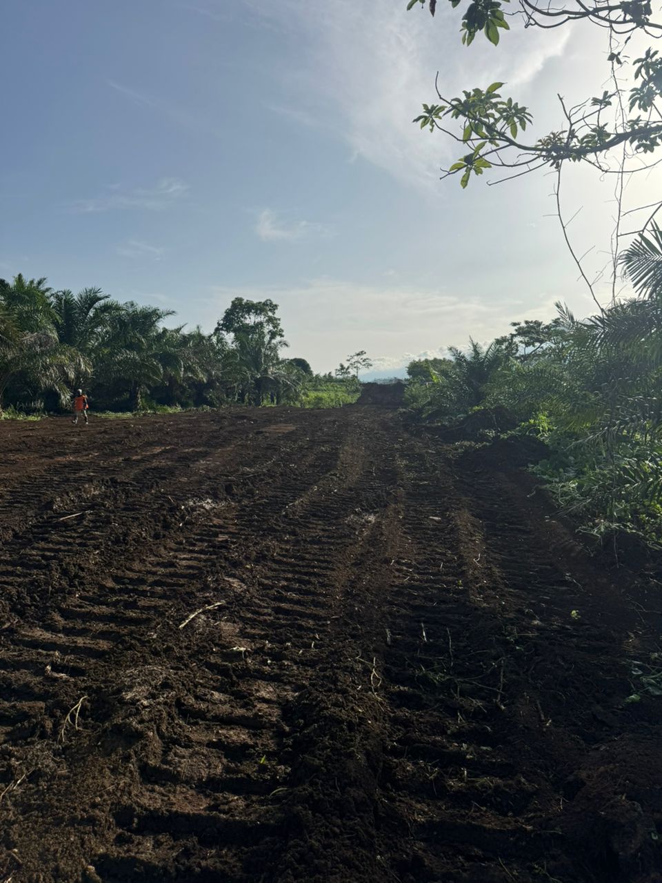 Development Land (Boanda)